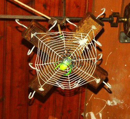 Web under spider