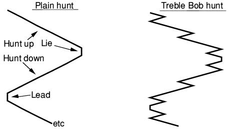 Types of hunting