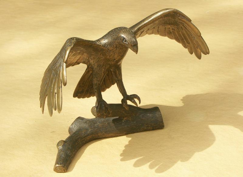 3Eagle2/jpg