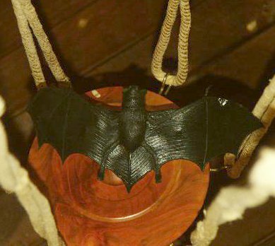 Bat under spider