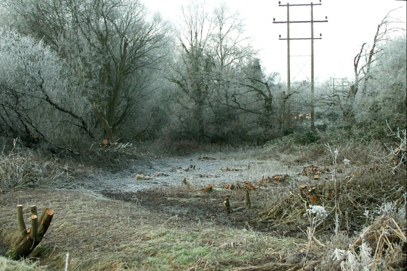 FellingFrost/jpg           